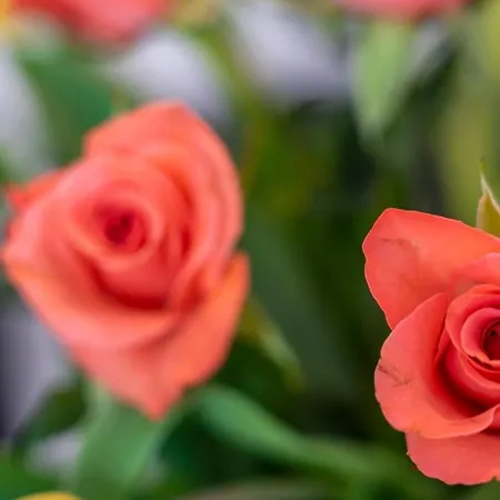 Apartamento De Heek Valkenburg aan de Geul