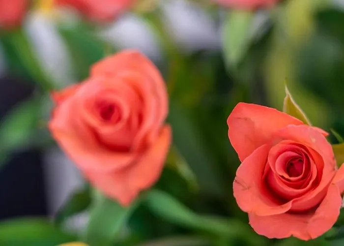 Apartman De Heek Valkenburg aan de Geul