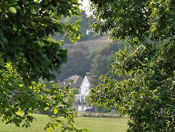 アパート De Heek ファルケンブルフ