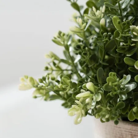 Apartment De Heek Valkenburg aan de Geul