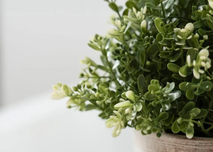 Apartment De Heek Valkenburg aan de Geul